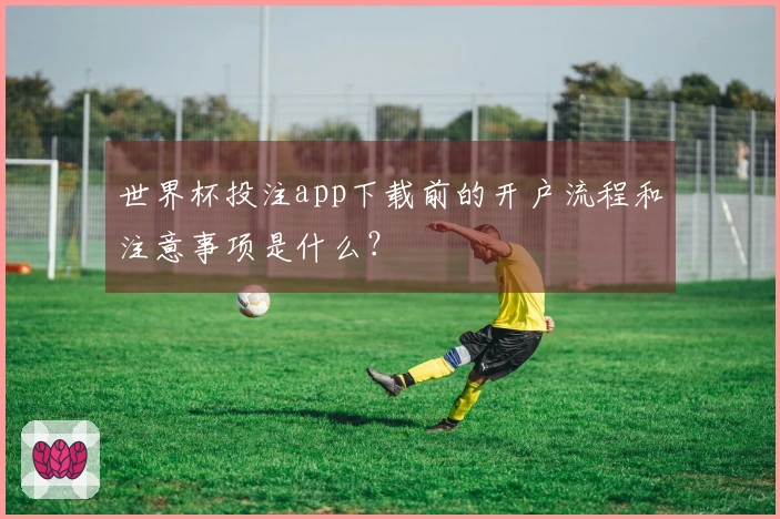 世界杯投注app下载前的开户流程和注意事项是什么？