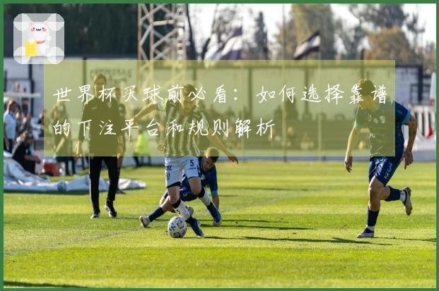 世界杯买球前必看：如何选择靠谱的下注平台和规则解析